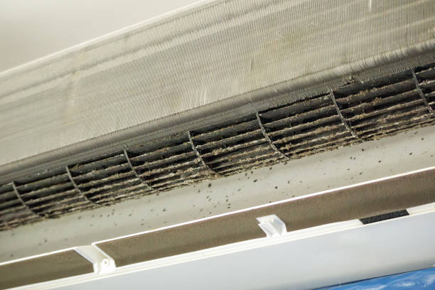 Best Home Air Vent Cleaning  in Elm City, NC